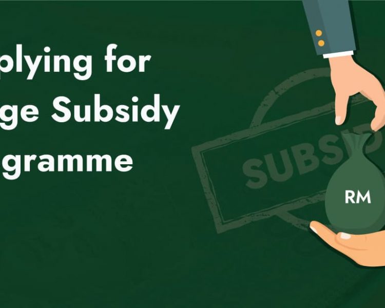 Wage Subsidy Programme